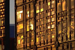 家庭での料理を劇的に変える！新しいシーズニング活用法とおすすめスパイスガイド